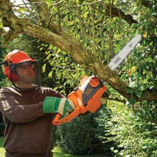 Chainsaws cut branches